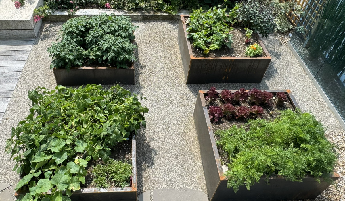 Pflanzgefaess Hochbeet Cortenstahl 1200 x 1200 x 400 und 600 mm Galabau Hiebler 5