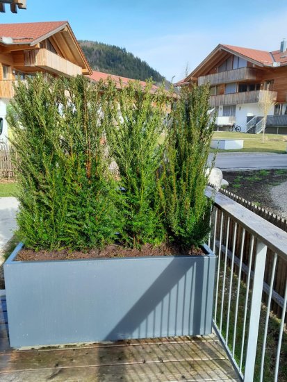 Pflanzgefäß Aluminium RAL 7016 Pulverbeschichtet mit Boden für Terrasse