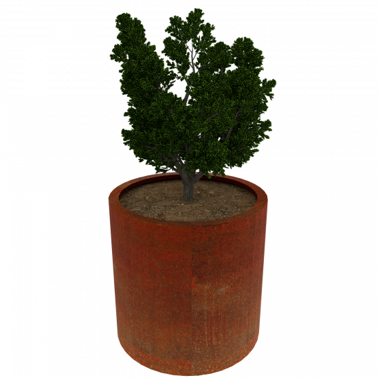 Pflanzgefäß Cortenstahl Rund mit oder ohne Boden