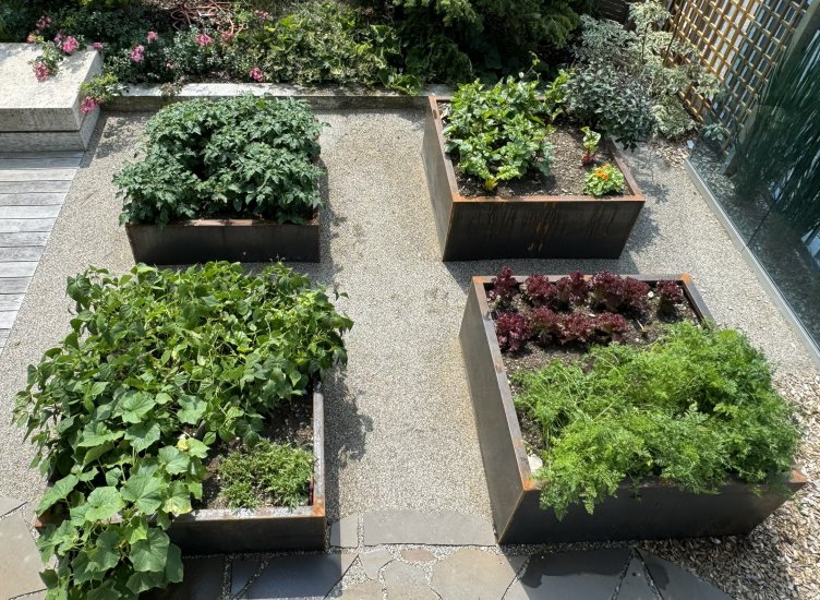 Pflanzgefaess Hochbeet Cortenstahl 1200 x 1200 x 400 und 600 mm Galabau Hiebler 5