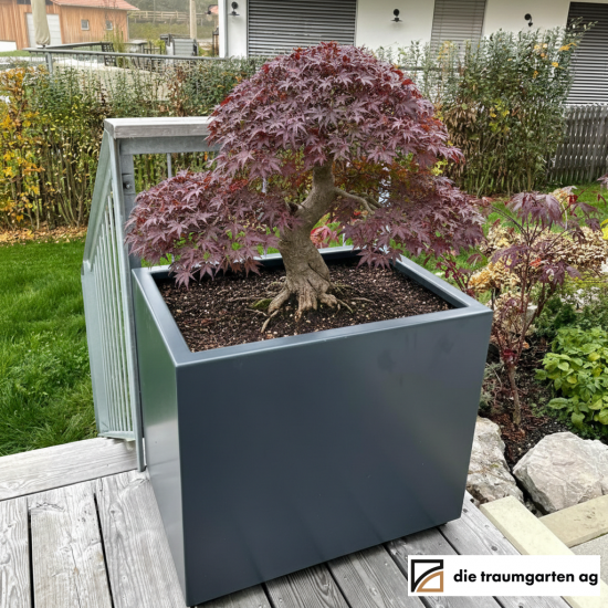 Pflanzgefäß quadratisch Aluminium RAL 7016 Anthrazit mit Boden