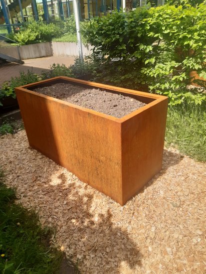 Pflanzgefäß Cortenstahl 1400 x 600 x 850 mm Stadt Dachau Grundschule 2