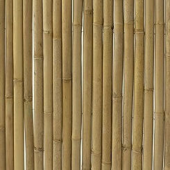 Image Bambussichtschutz Zaunfeld aus Edelstahl mit hellem Bambus 009008001001001 31