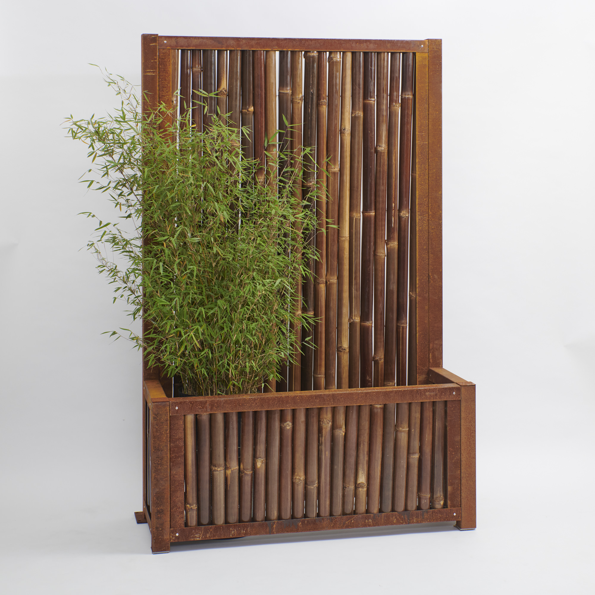 Bambus Pflanzgefäss Corten mit Rückwand